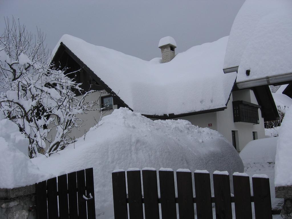 Ferienwohnung Nasa Hisa Bohinj Zimmer foto