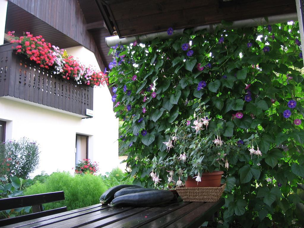 Ferienwohnung Nasa Hisa Bohinj Exterior foto
